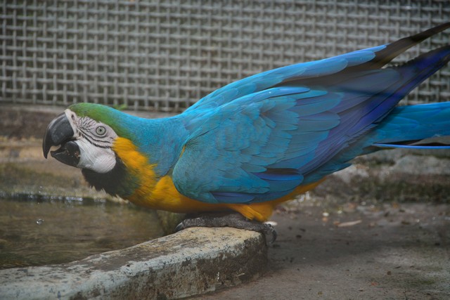 20150326 - Rome - 242